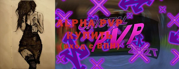 PSILOCYBIN Белокуриха