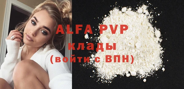 PSILOCYBIN Белокуриха