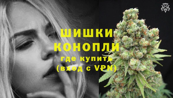 PSILOCYBIN Белокуриха