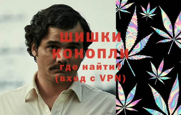 PSILOCYBIN Беломорск