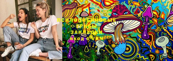 PSILOCYBIN Белокуриха