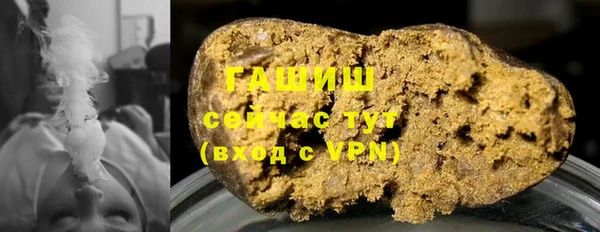 PSILOCYBIN Белокуриха