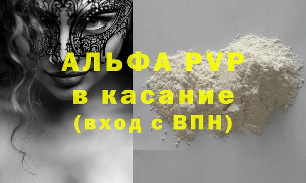 PSILOCYBIN Белокуриха