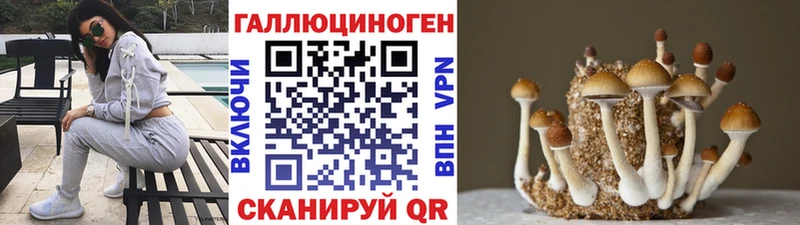 купить  цена  Юрьевец  Галлюциногенные грибы Magic Shrooms 